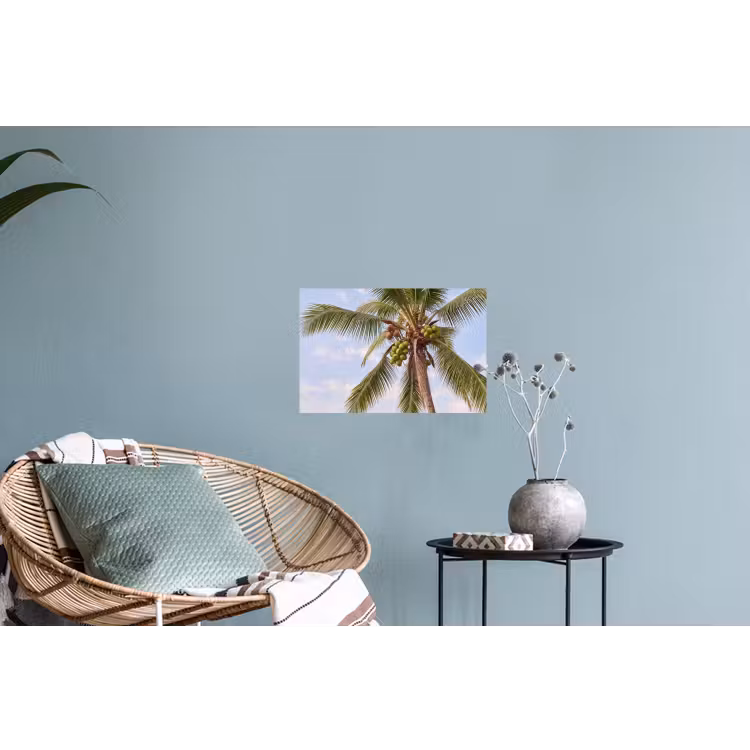 Kokosnoot - Boom - Tropisch - Natuur - Groen Muursticker klein -plant