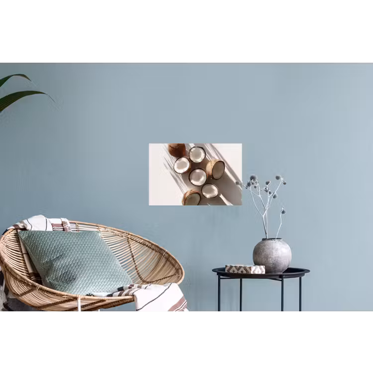 Kokosnoten - Bruin - Shaduw Muursticker klein -plant