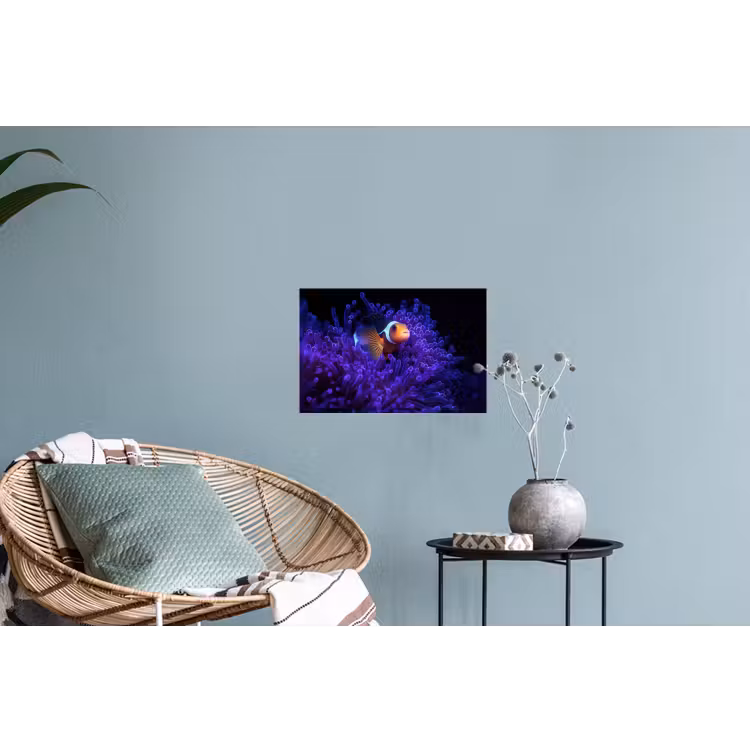 Koraal - Vis - Oranje - Zee Muursticker klein -plant