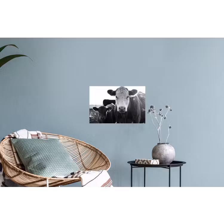 Koeien - Zwart - Wit Muursticker klein -plant