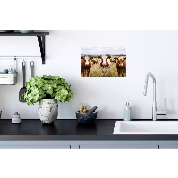 Koeien - Portret - Weide - Boerderij - Nieuwsgierig Muursticker klein -keuken