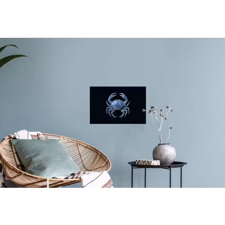 Krab - Delfts blauw - Dieren Muursticker klein -plant