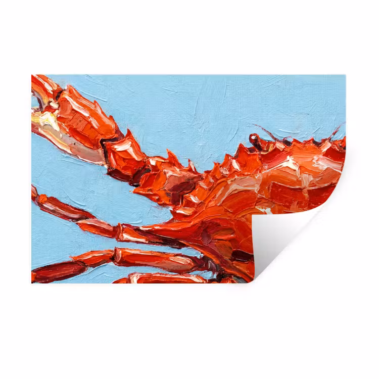 Krab - Zee - Dieren - Abstract - Rood Muursticker klein -3d