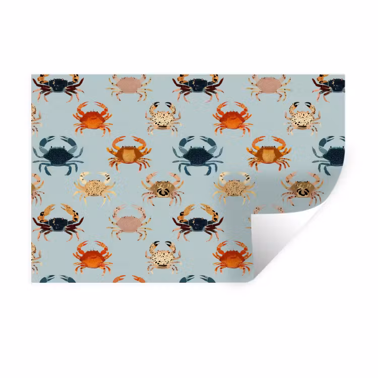Krabben - Speels - Kleurrijk Muursticker klein 286 -3d