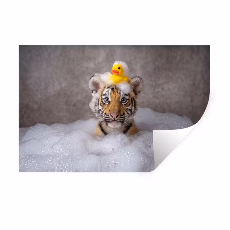 Welpje - Bad - Geel Muursticker klein -3d