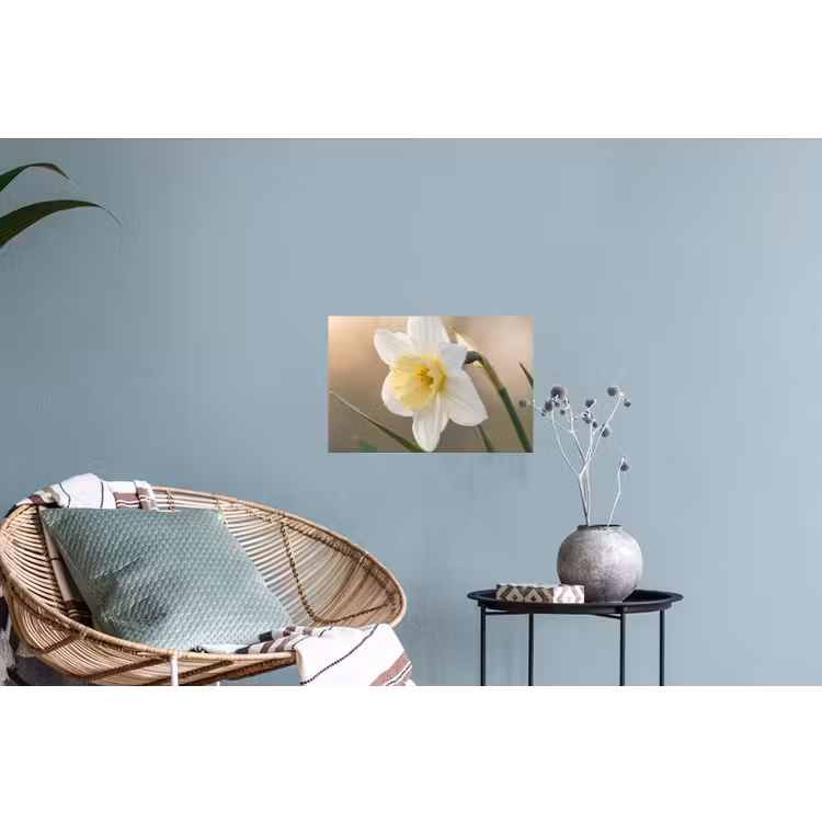 Narcis - Bloem - Minimalistisch Muursticker klein -plant