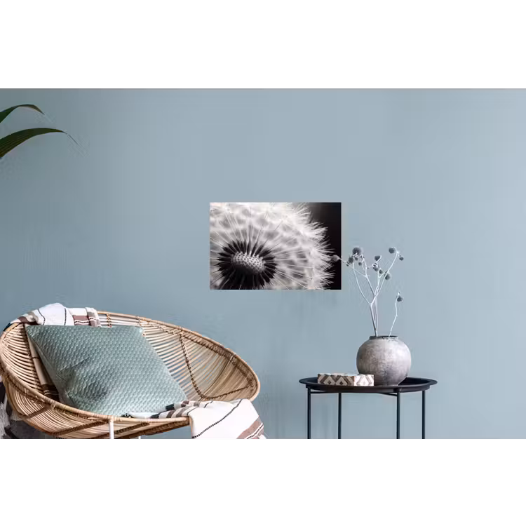 Paardenbloem - Zwart - Wit Muursticker klein -plant