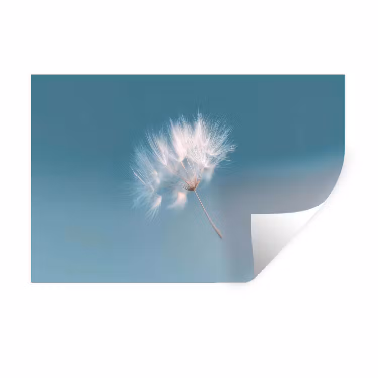 Paardenbloempluisje - Blauw - Lucht Muursticker klein -3d