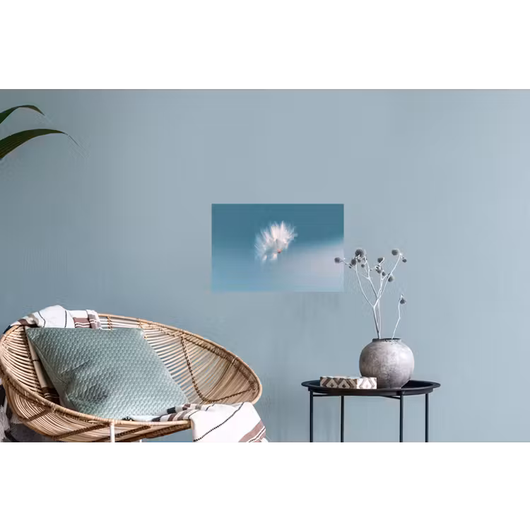 Paardenbloempluisje - Blauw - Lucht Muursticker klein -plant