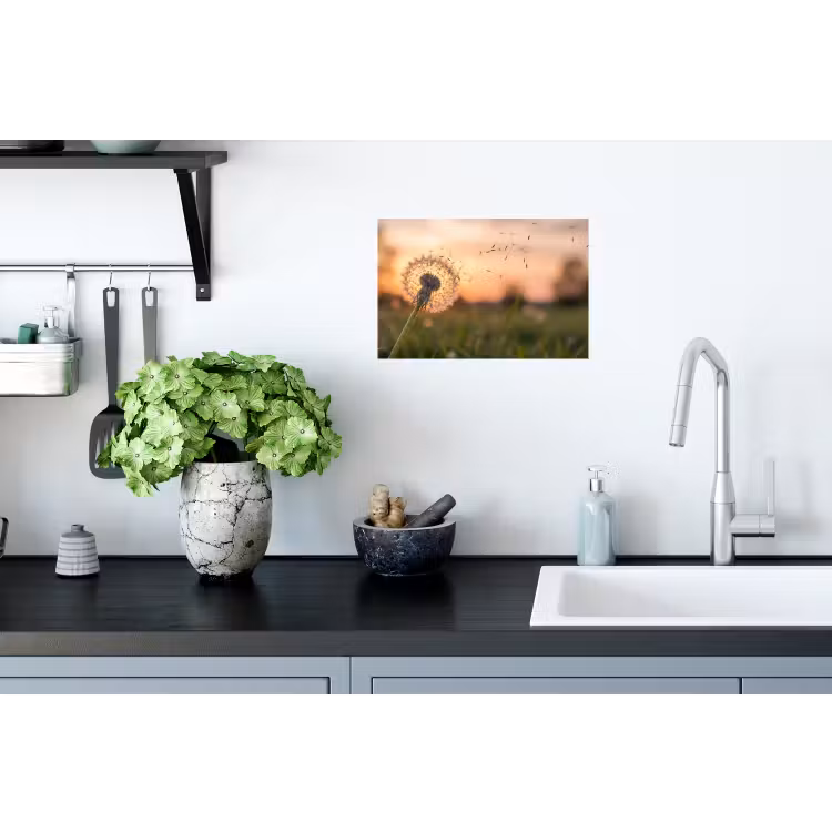 Paardenbloem - Zonsondergang - Veld Muursticker klein -keuken