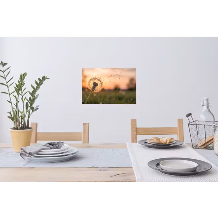 Paardenbloem - Zonsondergang - Veld Muursticker klein -eettafel