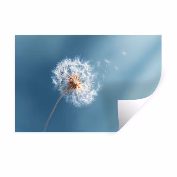 Paardenbloem - Wind - Blauw Muursticker klein -3d
