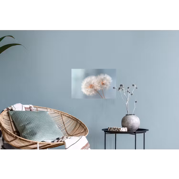 Paardenbloemen - Pluisjes - Wit Muursticker klein -plant