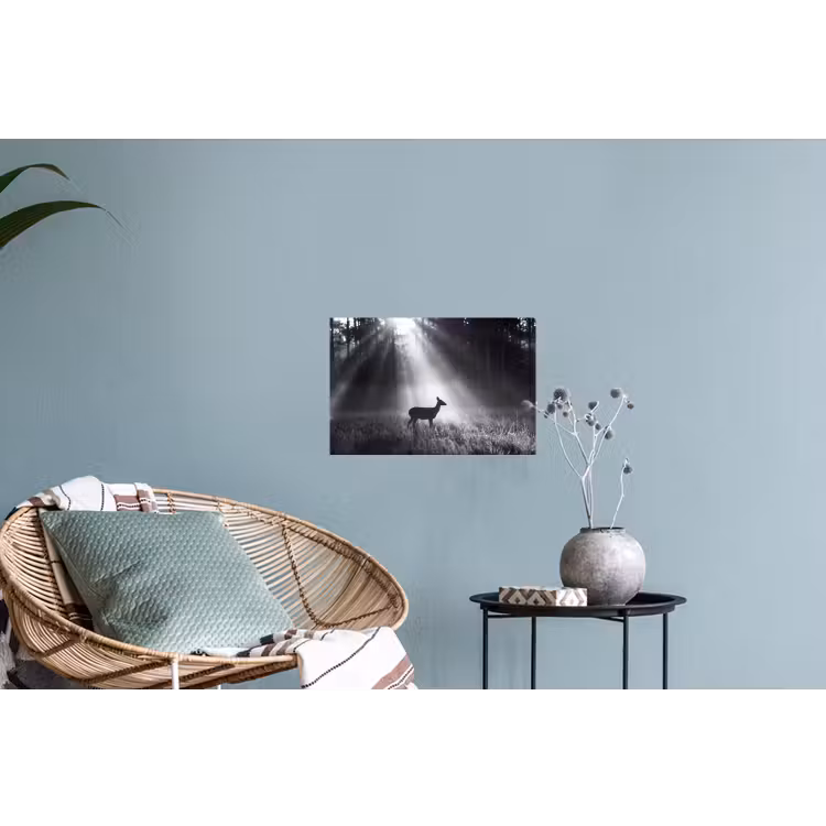 Hert - Bos - Zonnestralen - Zwart-wit - Natuur Muursticker klein -plant