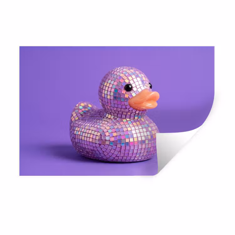 Disco - Eend - Paars Muursticker klein -3d