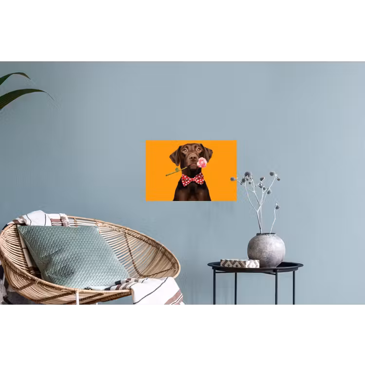 Hond - Oranje - Roos - Valentijn Muursticker klein -plant