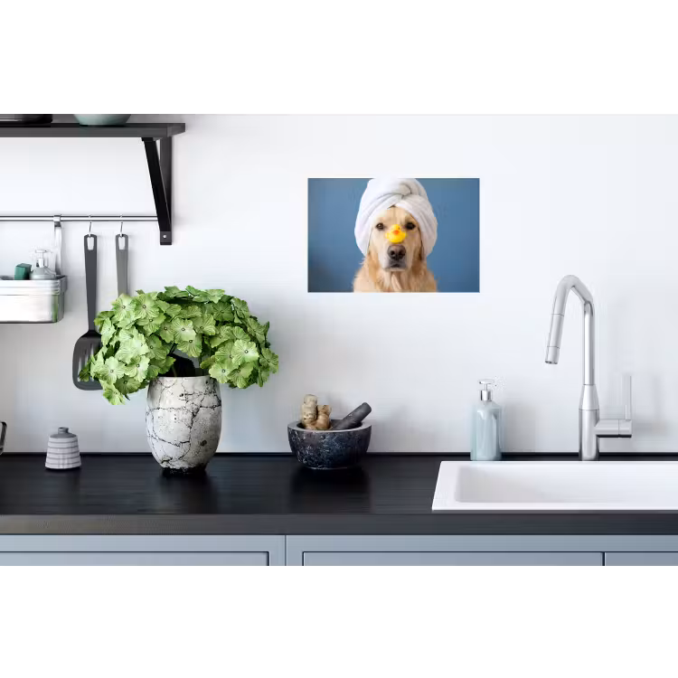 Hond - Badeend - Geel Muursticker klein -keuken