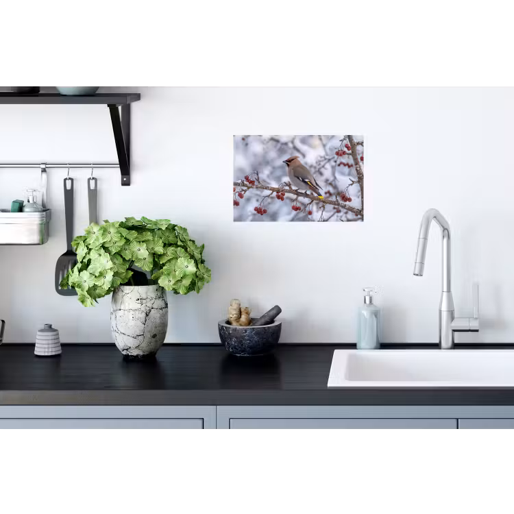 Pestvogel - Bessen - Winter - Natuur Muursticker klein -keuken