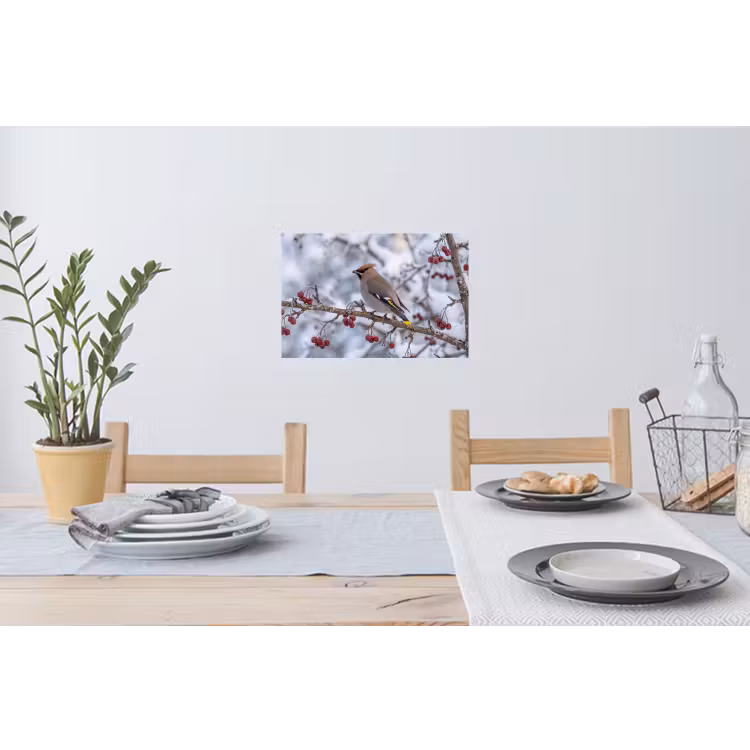 Pestvogel - Bessen - Winter - Natuur Muursticker klein -eettafel