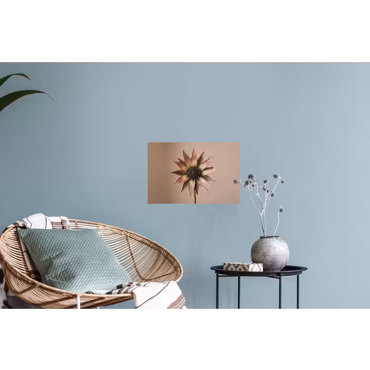 Droogbloem - Protea - Vintage - Beige - Rustiek Muursticker klein -plant