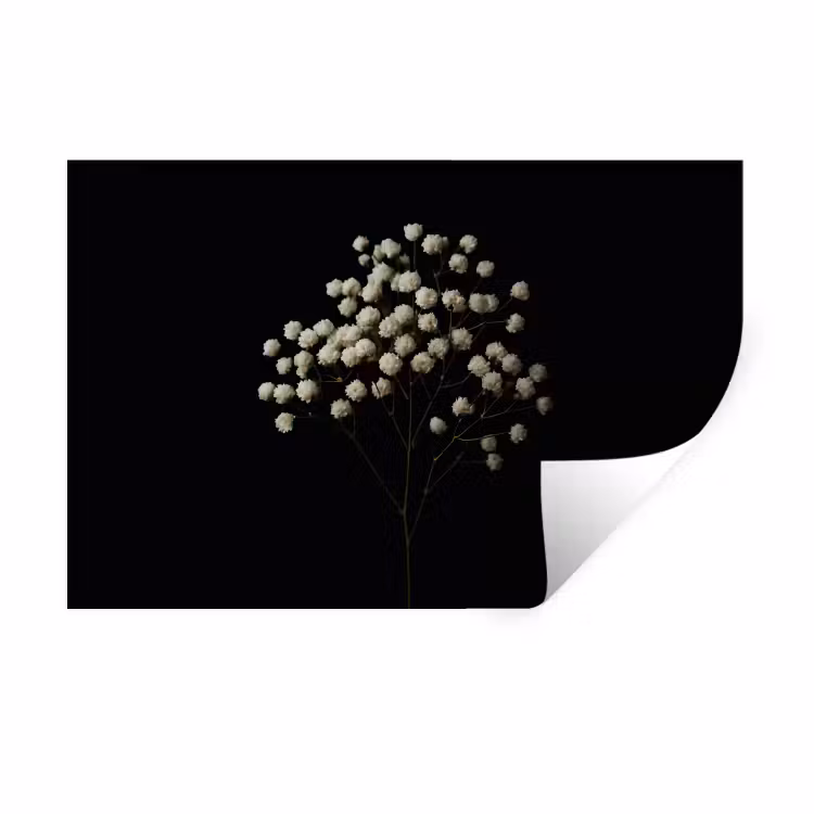 Gipskruid - Bloemetjes - Wit - Minimalistisch Muursticker klein -3d