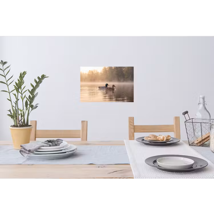 Eenden - Water - Mist - Natuur Muursticker klein -eettafel