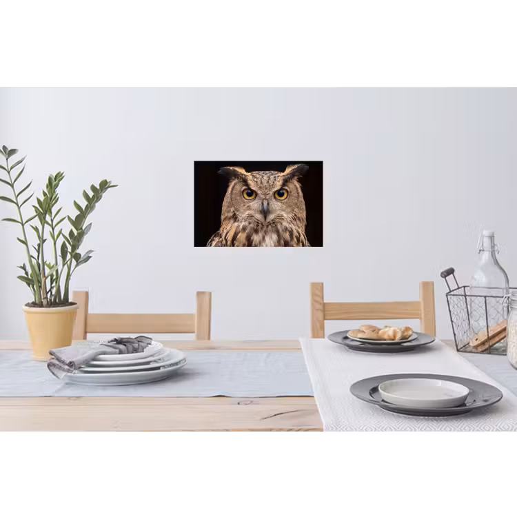 Oehoe - Uil - Portret - Bruin Muursticker klein -eettafel