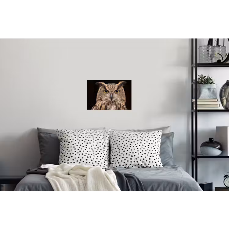 Oehoe - Uil - Portret - Bruin Muursticker klein -slaapkamer