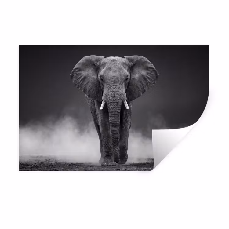 Olifant - Zwart - Wit - Rook Muursticker klein -3d