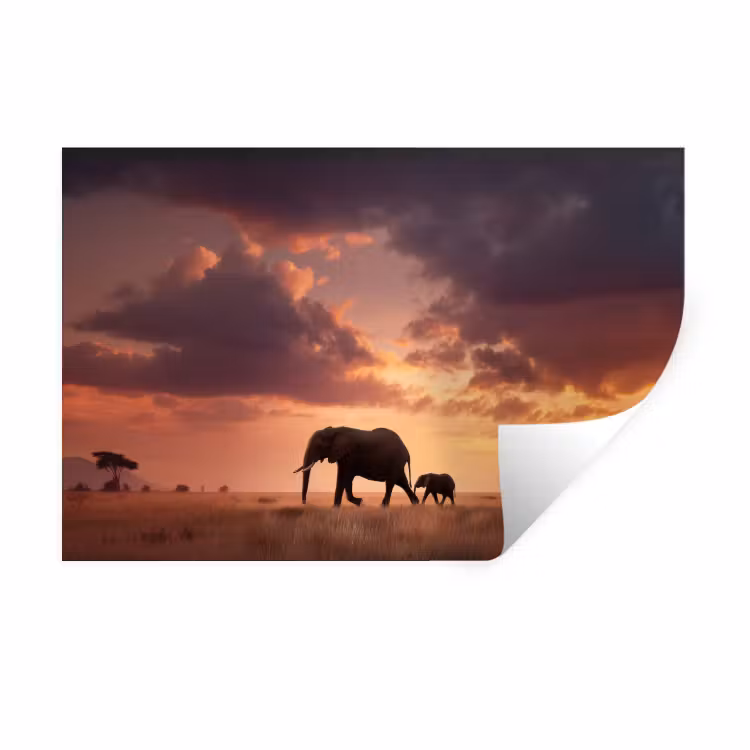 Olifanten - Grasland - Zonsondergang Muursticker klein -3d