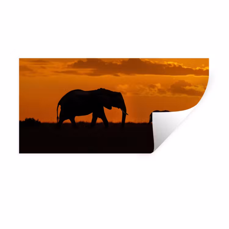 Olifanten - Savanne - Zonsondergang Muursticker klein -3d