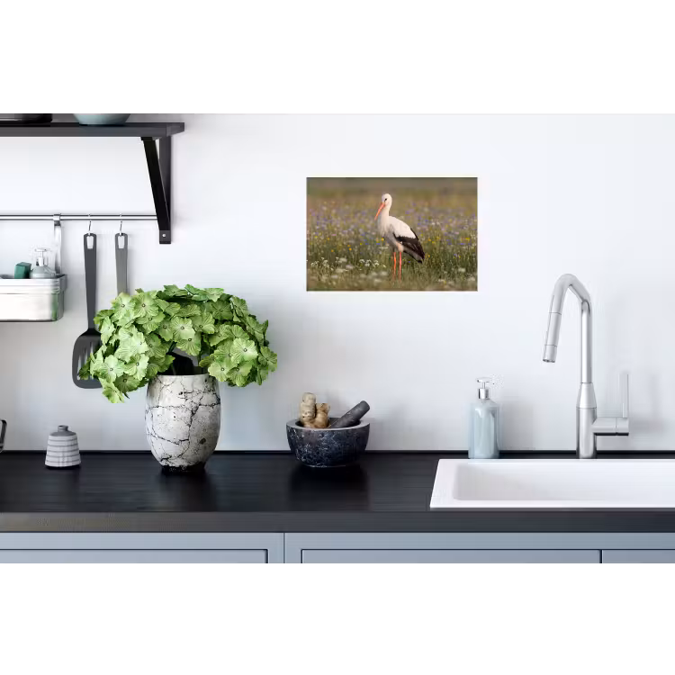 Ooienvaar - Bloemen - Weide - Kleurrijk Muursticker klein -keuken