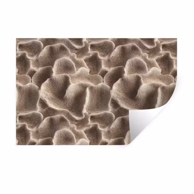 Waaiervorm - Beige - Vezel textuur Muursticker klein 286 -3d