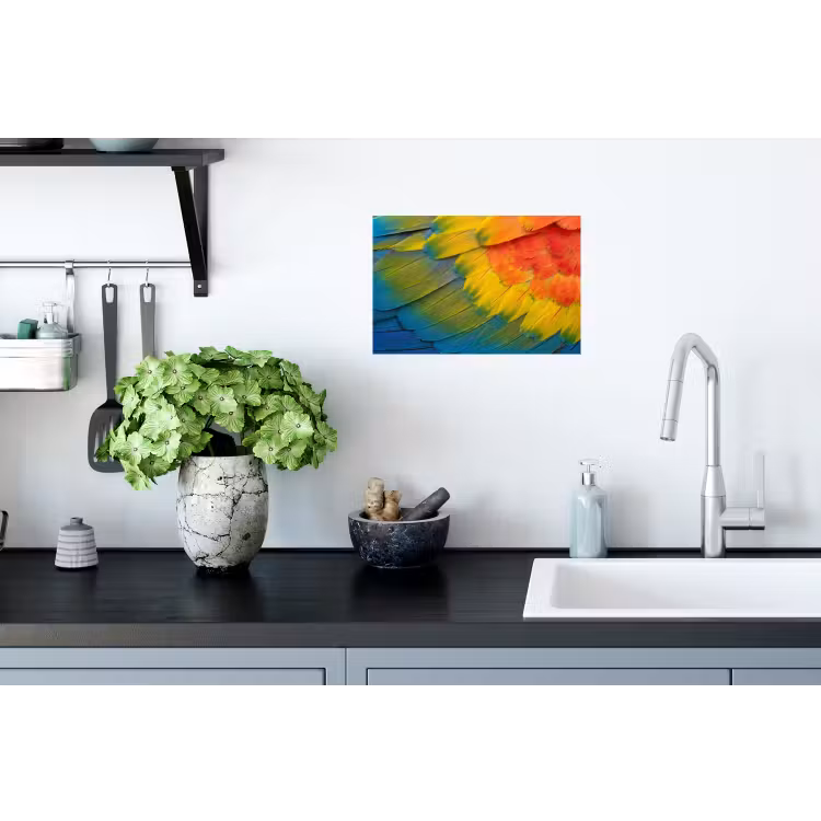 Veren - Ara - Kleurrijk Muursticker klein -keuken