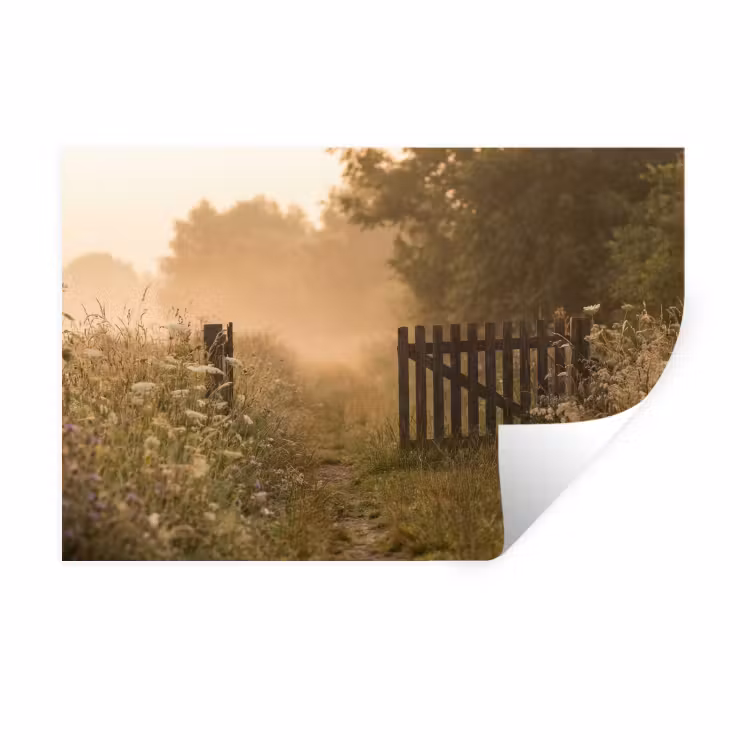 Hek - Natuur - Mist - Veld Muursticker klein -3d