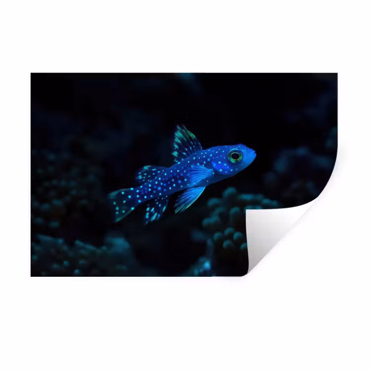 Vis - Stippen - Koraal - Blauw Muursticker klein -3d