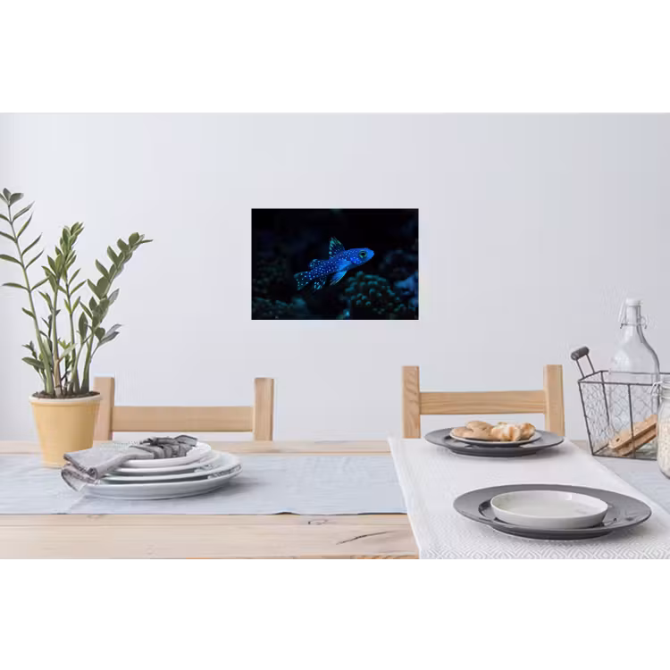 Vis - Stippen - Koraal - Blauw Muursticker klein -eettafel