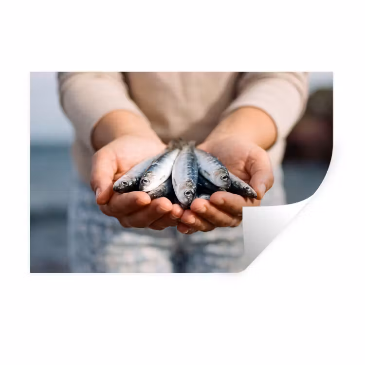 Wall Sticker - Fish - Hands - Nature - Vis - Handen - Natuur Muursticker klein