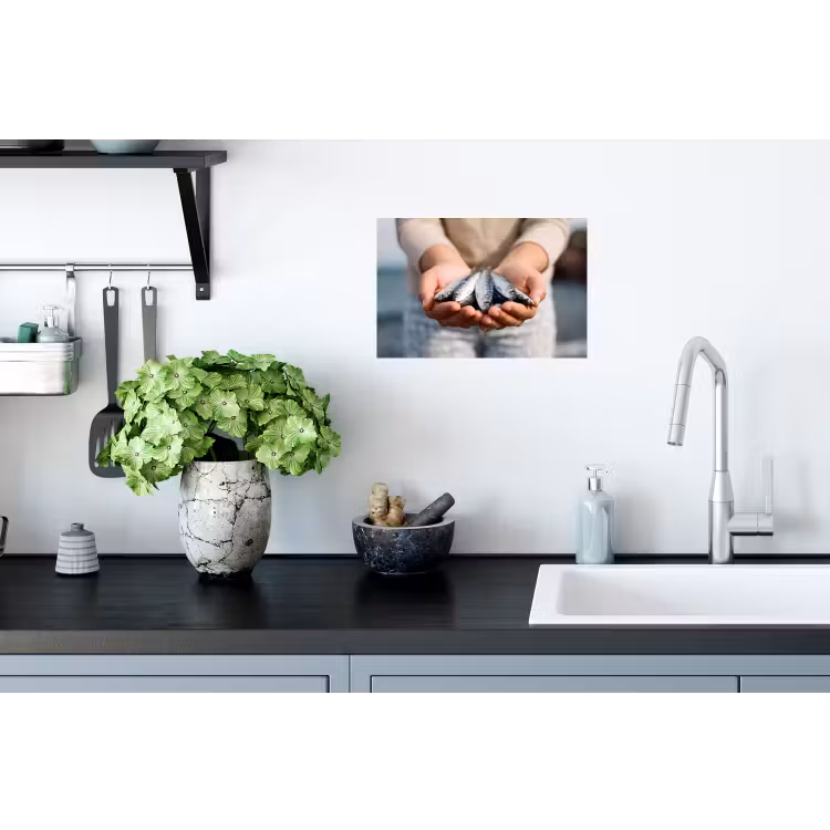 Wall Sticker - Fish - Hands - Nature - Vis - Handen - Natuur Muursticker klein