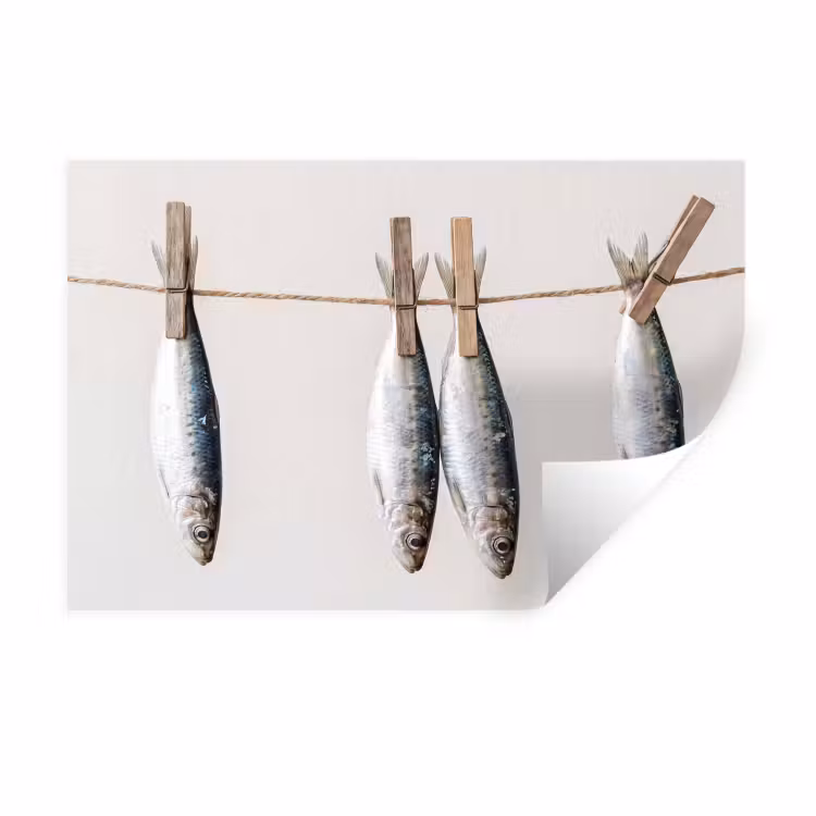 Wall Sticker - Fish - Hanging - Food - Vis - Hangend - Eten Muursticker klein