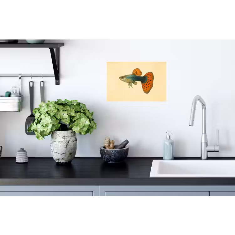 Vis - illustratie - Stippen - Oranje Muursticker klein -keuken
