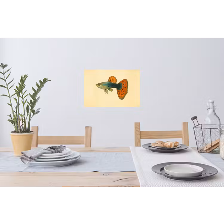 Vis - illustratie - Stippen - Oranje Muursticker klein -eettafel