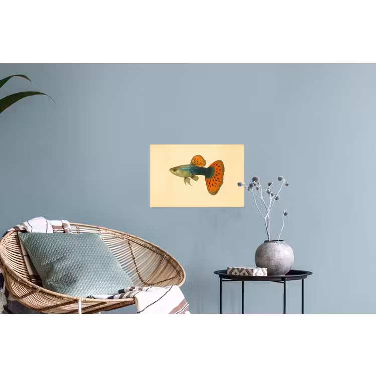 Vis - illustratie - Stippen - Oranje Muursticker klein -plant