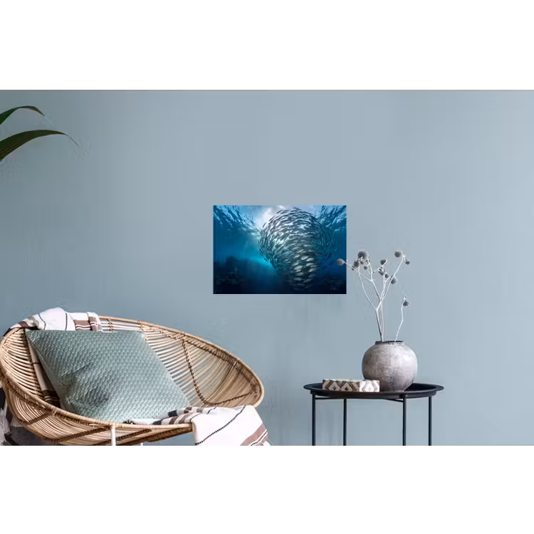 Vis - School - Oceaan - Natuur - Blauw Muursticker klein -plant