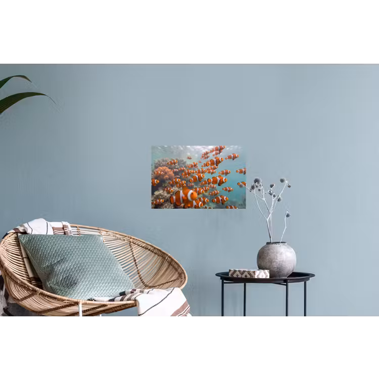 Vis - School - Onderwater - Dieren - Oranje Muursticker klein -plant
