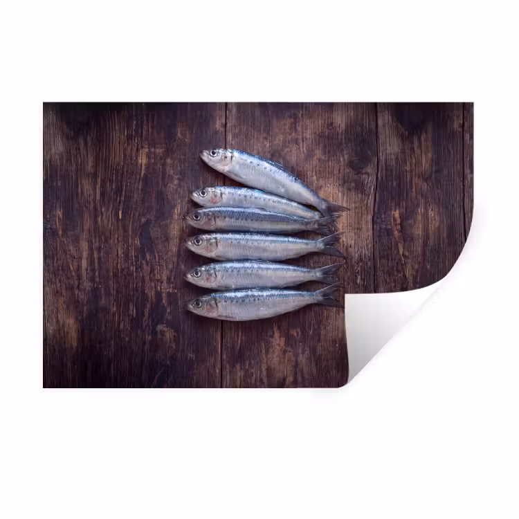 Wall Sticker - Fish - Wood - Food - Vis - Hout - Eten Muursticker klein
