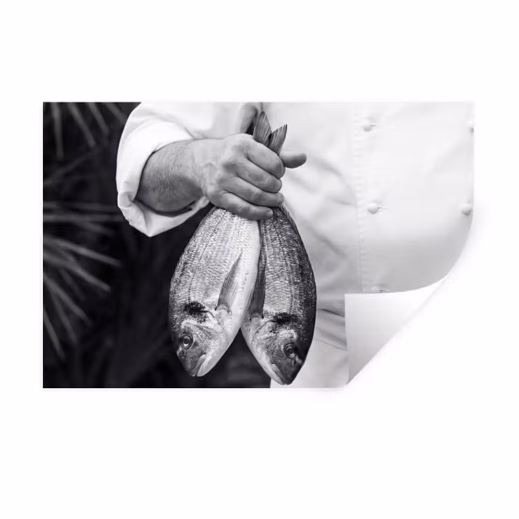 Vissen - Chef - Zwart - Wit Muursticker klein -3d