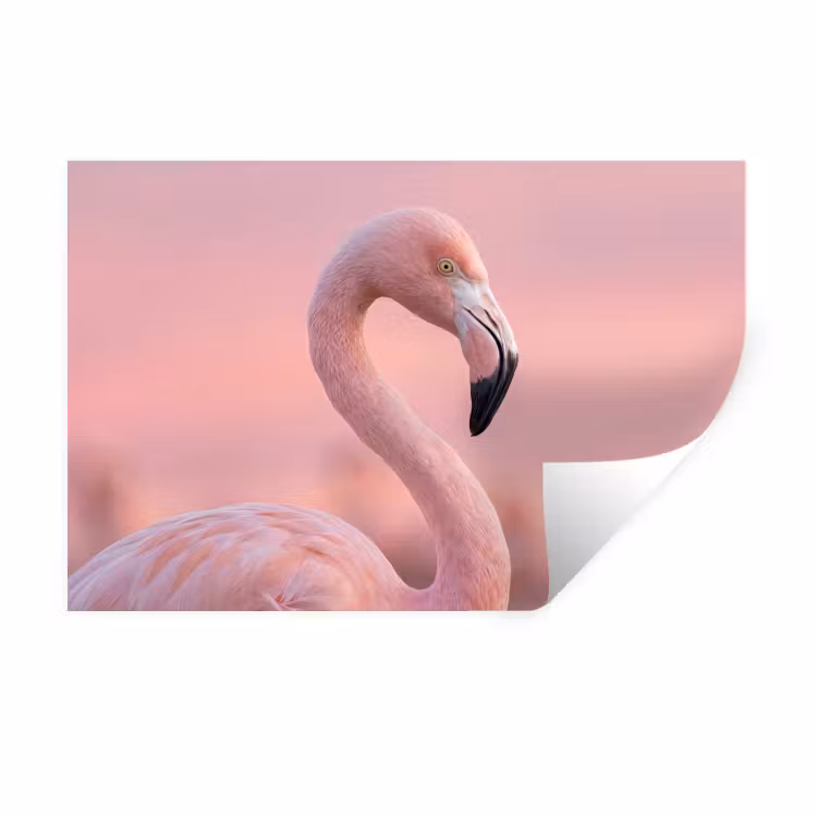Flamingo - Portret - Roze Muursticker klein -3d
