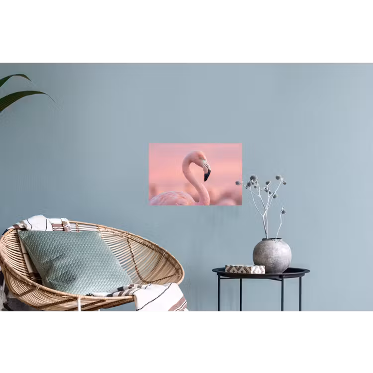 Flamingo - Portret - Roze Muursticker klein -plant