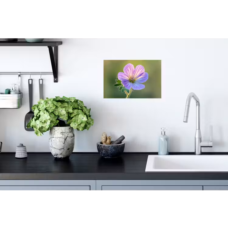 Bloem - Close up - Paars Muursticker klein -keuken